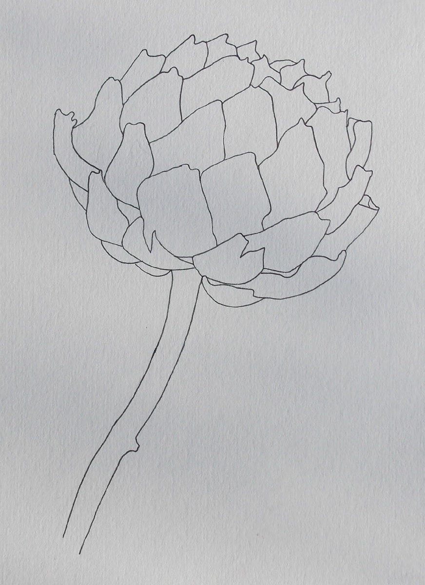 artichoke.jpg